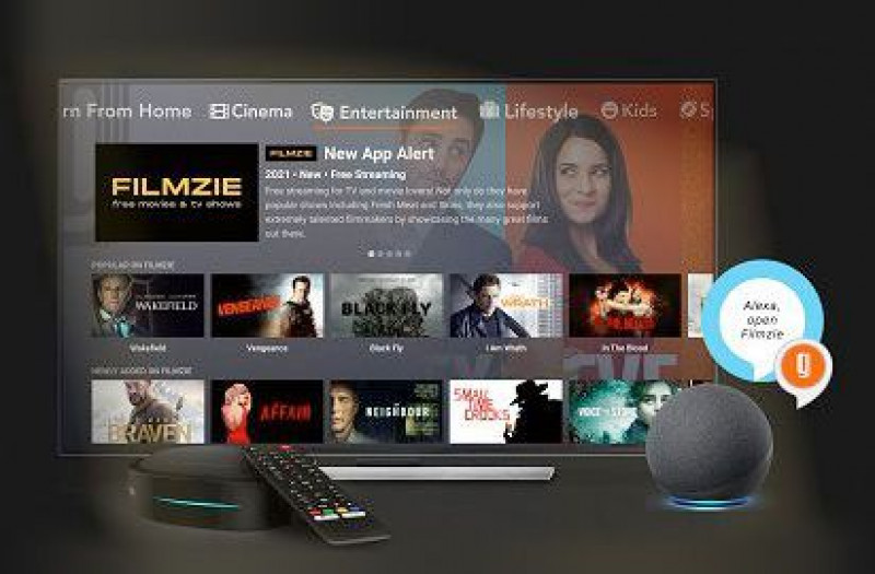 [UK] AVoD Filmzie continues expansion with Netgem TV integration